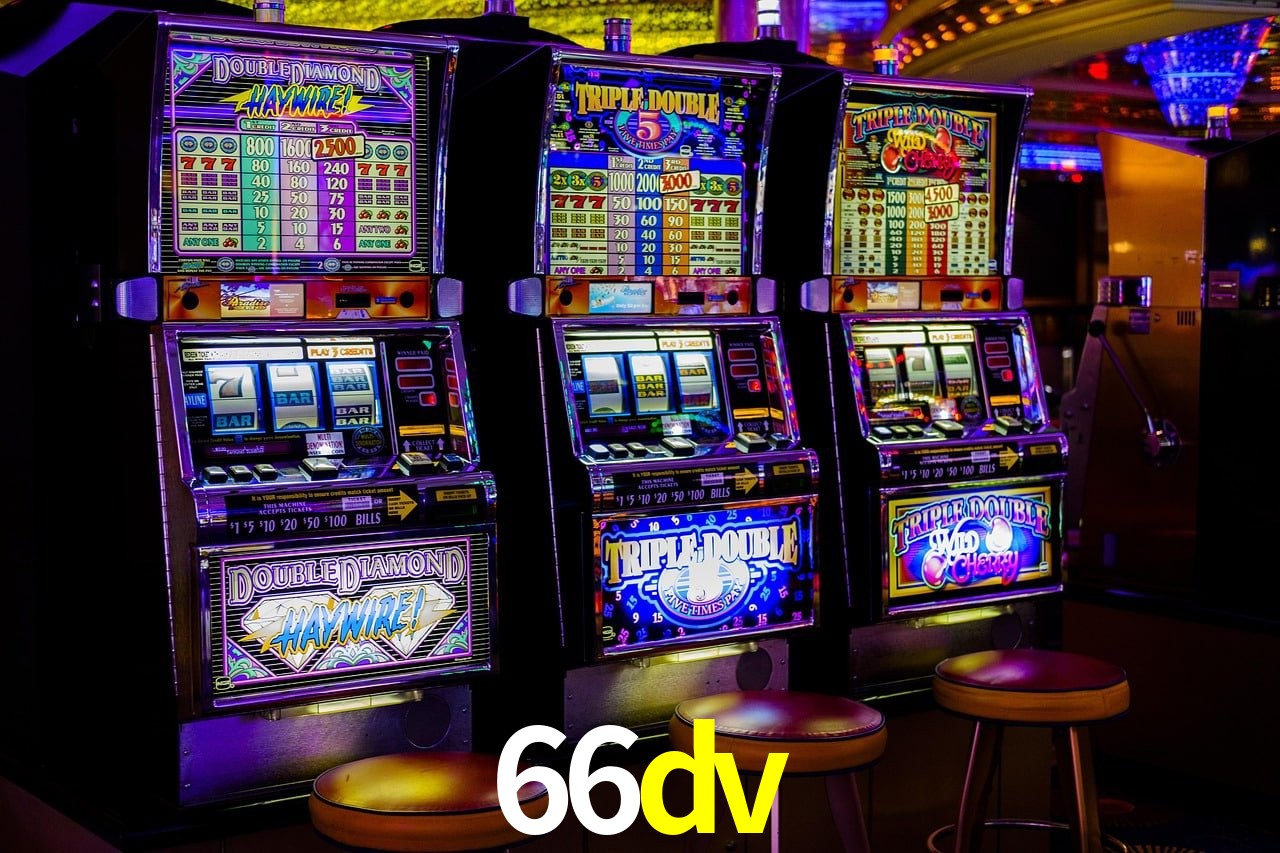 Programa VIP 66dv